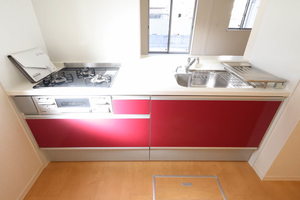 ｖｉｎｃｕｌｕｍ　ＪＫ 0105号-8