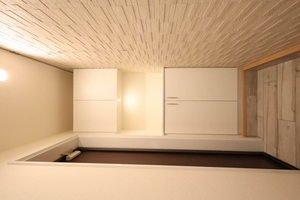 ｖｉｎｃｕｌｕｍ　ＪＫ 0105号-9