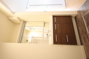 ｖｉｎｃｕｌｕｍ　ＪＫ 0105号-10