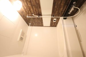 ｖｉｎｃｕｌｕｍ　ＪＫ 0105号-11