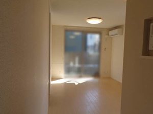 シャーメゾン青地 0105号-4