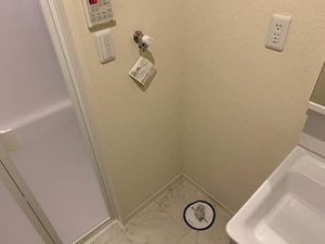 Ｍａｉｓｏｎ　Ｍｏｍｅｎｔ 0102号-10