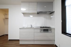 アネシス丸山 0202号-8