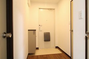 アネシス丸山 0202号-14