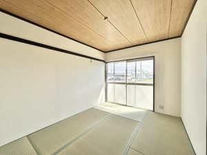 ハイツ南条 0203号-3