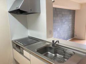 Ｃａｌｍｅ　ａｌｌｅｙ 0102号-3