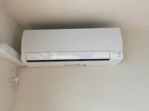 Ｃａｌｍｅ　ａｌｌｅｙ 0102号-8