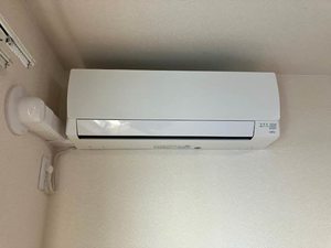 Ｃａｌｍｅ　ａｌｌｅｙ 0102号-13