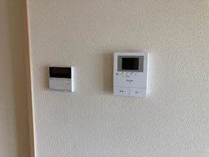 Ｃａｌｍｅ　ａｌｌｅｙ 0203号-9