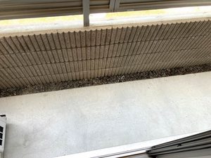 シャーメゾン　サンライズ 0106号-10