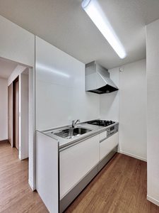 シャーメゾン二条城南 0202号-4