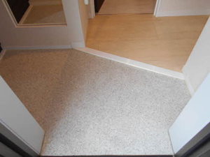 シャーメゾン野江 0201号-5