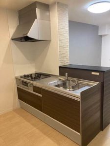 ＭＡＧＮＯＬＩＡ 0201号-6