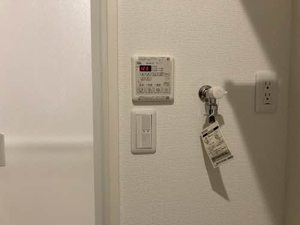 Ｗｉｓｔｅｒｉａ 0303号-5