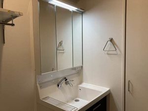 Ｗｉｓｔｅｒｉａ 0303号-6