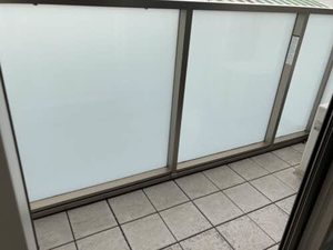 Ｗｉｓｔｅｒｉａ 0303号-12