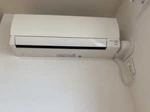 Ｗｉｓｔｅｒｉａ 0303号-13