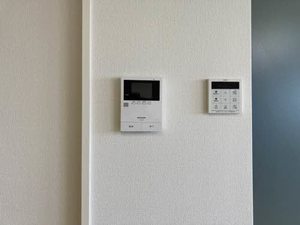 Ｗｉｓｔｅｒｉａ 0303号-14