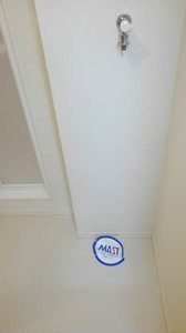 シャーメゾン　Ｍｉｓｈａ 0301号-8