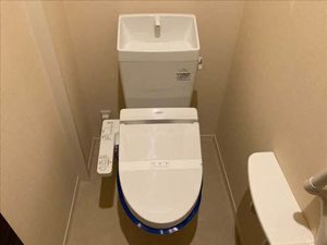 ＭＯＮＴＡＧＮＥ　ＴＯＹＡＭＡ 0102号-8