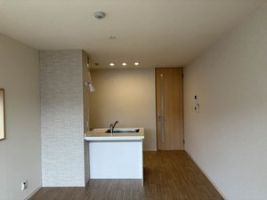 ヒルズ　エルドラード 0205号-2