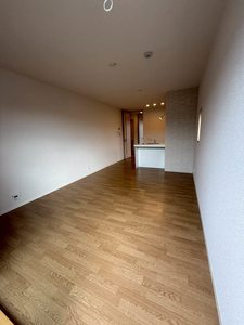 ヒルズ　エルドラード 0301号-2