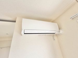 グリーン　セント　上中 0203号-11