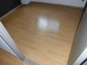 セントラヴィーヌ山手 0306号-9