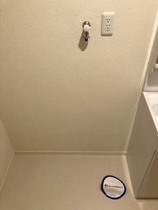 ピュアシャルム 0203号-8