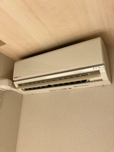 ローズコート ティネケ T121号-13