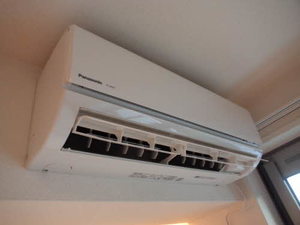 ローズコート　ティネケ T220号-7