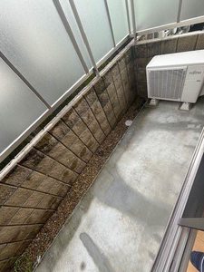 シャーメゾン北八木 0101号-6