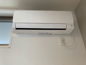 フェリシード 0101号-11