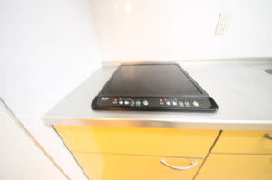 プレミア　ドミール 0101号-3