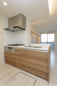 シャーメゾン恵我Ⅱ 0106号-9