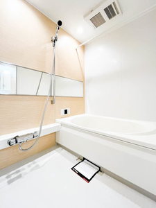 シャーメゾン　フェリオ 0102号-11