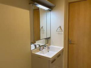 ル　シーニュ（Ｌｅ　Ｃｙｇｎｅ） 0203号-4