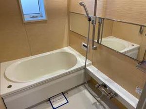 ル　シーニュ（Ｌｅ　Ｃｙｇｎｅ） 0203号-5