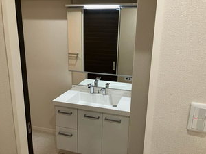 シャーメゾンＷＩＬＬ 0101号-7