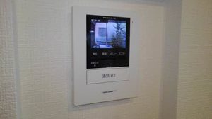 シャーメゾン　ドリーム 0101号-4