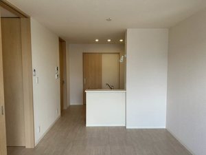 ミラコスタ　光 0102号-2