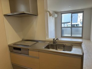 ミラコスタ　光 0102号-4