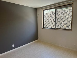 ミラコスタ　光 0102号-5