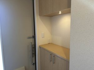 ミラコスタ　光 0102号-11