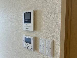 ミラコスタ　光 0102号-12