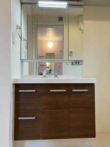 テラパークス 壱番館 0203号-9
