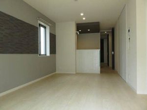 メゾン　ド　ハイネス 0202号-2