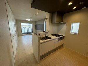 メゾン ド ハイネス 0202号-14