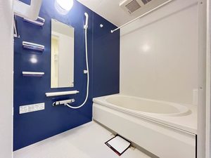 Ｍａｉｓｏｎ　Ａｌｂａ 0202号-7