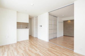 メゾン・フローラⅡ 0103号-3